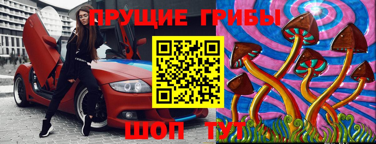 Галлюциногенные грибы прущие грибы Аргун